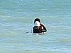 IMG_4477.JPG