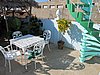 IMG_4526.JPG