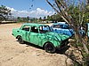 IMG_4529.JPG
