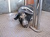 IMG_4791b.JPG