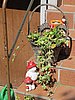 IMG_7335.JPG