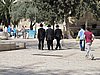 IMG_4929.JPG