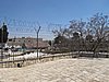 IMG_5003.JPG