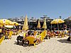 IMG_5252.JPG