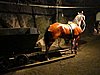 IMG_6852.JPG