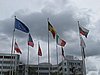 IMG_6903.JPG