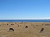 IMG_6067.JPG