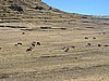 IMG_6068.JPG