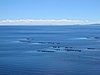 IMG_6072.JPG