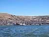 IMG_6075.JPG