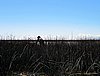 IMG_6077.JPG