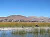 IMG_6079.JPG