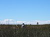 IMG_6080.JPG