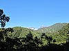 IMG_6330.JPG