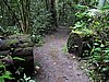 IMG_6442.JPG