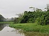 IMG_6463.JPG