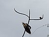 IMG_6465.JPG