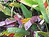 IMG_6466.JPG