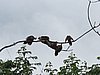 IMG_6468.JPG