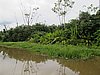 IMG_6469.JPG