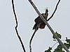 IMG_6472.JPG