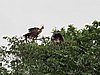 IMG_6473.JPG