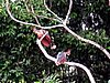 IMG_6478.JPG
