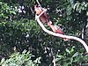 IMG_6480.JPG