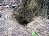 IMG_6507.JPG