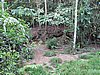 IMG_6514.JPG