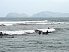 IMG_6804.JPG