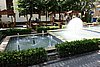 DSC00367.JPG