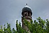DSC00370.JPG