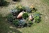 DSC00379.JPG