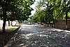 DSC00421.JPG