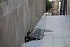 DSC00453.JPG