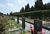 DSC00548.JPG
