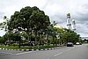 DSC02092.JPG
