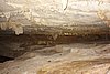 DSC02169.JPG