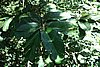 DSC02395.JPG