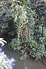 DSC02397.JPG