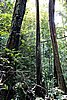 DSC02402.JPG