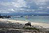 DSC02412.JPG
