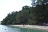 DSC02415.JPG