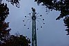DSC01863.JPG