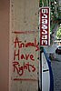 DSC00043.JPG