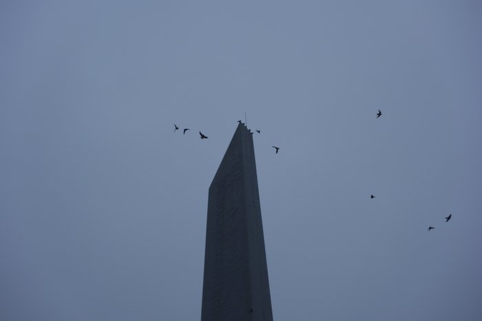 DSC01142.JPG