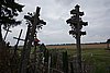 DSC01049.JPG