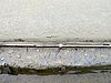 IMG_8252.JPG