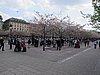 IMG_8314.JPG